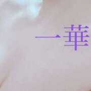 ヒメ日記 2026/04/07 19:45 投稿 一華-いちか【FG系列】 ほんつま 町田/相模原店