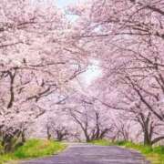 ヒメ日記 2026/04/08 14:06 投稿 たくみ 熟女家 京橋店