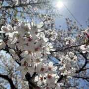 葵 4月9日から、お世話になります(^^) Respect