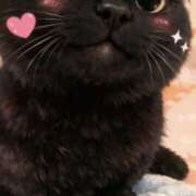 ヒメ日記 2026/04/18 19:08 投稿 葵 Respect