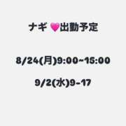 ヒメ日記 2026/08/21 20:25 投稿 なぎ ぺろぺろベロベロ専科 ぺろんちょ