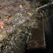 ヒメ日記 2026/04/09 21:46 投稿 正美（マサミ） アバンチュール(五反田)