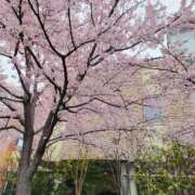 ヒメ日記 2026/04/07 20:07 投稿 せら 熟女の風俗最終章 仙台店