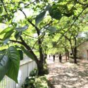 ヒメ日記 2026/04/09 01:10 投稿 杏 出会い系人妻ネットワーク錦糸町～小岩編