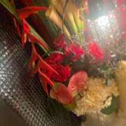 ヒメ日記 2026/04/16 21:54 投稿 杏 出会い系人妻ネットワーク錦糸町～小岩編