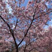 ヒメ日記 2026/04/12 15:18 投稿 ねね　奥様 SUTEKIな奥様は好きですか?