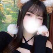 ヒメ日記 2026/04/14 11:00 投稿 ひそか キューティーハニー