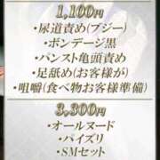 ヒメ日記 2026/04/30 23:08 投稿 ゆきえ Salon du M-えっちなお姉さんのM性感デリバリー-五反田店
