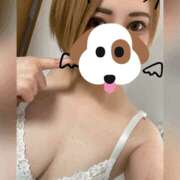 ヒメ日記 2026/06/13 08:08 投稿 めめ I❤HIMEJI（アイラブ姫路）