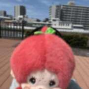 さくら いい天気☀️.° ぷるるん小町 京橋店