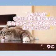 ヒメ日記 2026/07/10 22:11 投稿 りこ 桜色学園