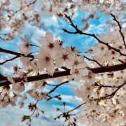 ヒメ日記 2026/04/09 08:43 投稿 あいる ラブコレ