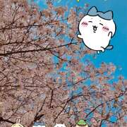 ヒメ日記 2026/04/14 08:22 投稿 あいる ラブコレ