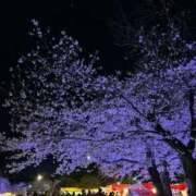 ヒメ日記 2026/04/09 13:16 投稿 さな マネキン 名駅店