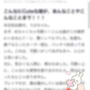 ヒメ日記 2026/04/08 13:46 投稿 ウサ エピソード(品川)