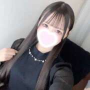 ヒメ日記 2026/04/08 17:16 投稿 ウサ エピソード(品川)