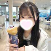 ヒメ日記 2026/04/09 21:16 投稿 ウサ エピソード(品川)