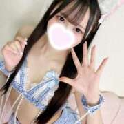 ヒメ日記 2026/04/13 18:46 投稿 ウサ エピソード(品川)