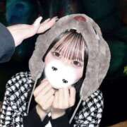 ヒメ日記 2026/09/21 01:46 投稿 ウサ エピソード(品川)