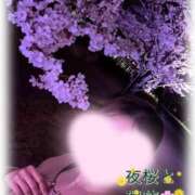 ヒメ日記 2026/04/15 01:52 投稿 瑞穂(みずほ) 可憐な妻たち 高崎店