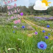 ヒメ日記 2026/04/27 01:39 投稿 瑞穂(みずほ) 可憐な妻たち 高崎店