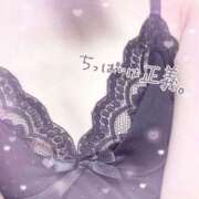 ヒメ日記 2026/04/14 01:15 投稿 みりあ BAD COMPANY（バッドカンパニー）