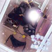 ヒメ日記 2026/05/08 10:02 投稿 みりあ BAD COMPANY（バッドカンパニー）
