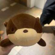 ヒメ日記 2026/04/11 11:07 投稿 竹村　いく スタイリッシュ秘書