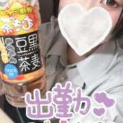 ヒメ日記 2026/06/01 16:16 投稿 【新人】しゅん 神奈川小田原ちゃんこ