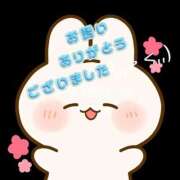 ヒメ日記 2026/04/17 02:36 投稿 やよい 水戸人妻花壇