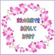 ヒメ日記 2026/05/17 02:06 投稿 やよい 水戸人妻花壇