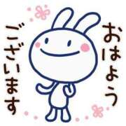 ヒメ日記 2026/06/26 08:29 投稿 やよい 水戸人妻花壇