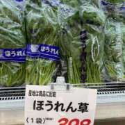 ヒメ日記 2026/09/20 21:57 投稿 やよい 水戸人妻花壇
