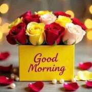 ヒメ日記 2026/04/10 09:07 投稿 みどり 熟女家 十三店