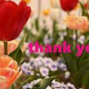 ヒメ日記 2026/04/11 15:51 投稿 みどり 熟女家 十三店