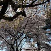 ヒメ日記 2026/04/09 15:47 投稿 みさと 君とふわふわプリンセスin立川