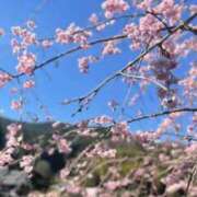 ヒメ日記 2026/04/11 01:10 投稿 よもぎ クラブレア南大阪