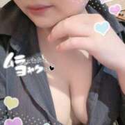 ヒメ日記 2026/04/12 13:02 投稿 みこと ちゃんこ藤沢茅ヶ崎店