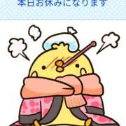 ヒメ日記 2026/06/27 20:22 投稿 みこと ちゃんこ藤沢茅ヶ崎店