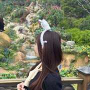 ヒメ日記 2026/04/29 15:43 投稿 すずは★超美麗なイチャ好きJD Chloe五反田本店　S級素人清楚系デリヘル