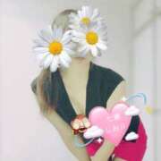 ヒメ日記 2026/04/18 13:11 投稿 七瀬　しおり かりそめ