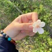 ヒメ日記 2026/04/10 23:27 投稿 リーフィア しろうとCollection