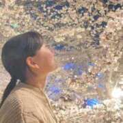 ヒメ日記 2026/04/11 13:57 投稿 リーフィア しろうとCollection