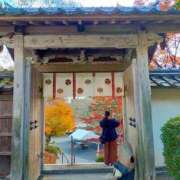 ヒメ日記 2026/05/12 20:17 投稿 リーフィア しろうとCollection