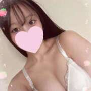 ひめか 次18時半〜🈳 ロイヤル土佐