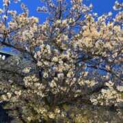 ヒメ日記 2026/04/10 07:19 投稿 れの デザインプリズム新宿