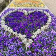 れの ⭐️ デザインプリズム新宿