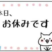 ヒメ日記 2026/04/11 05:02 投稿 あい One More 奥様 千葉店