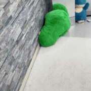 ヒメ日記 2026/04/08 11:08 投稿 あまね 千葉人妻花壇