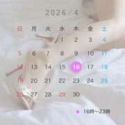 ヒメ日記 2026/04/12 13:04 投稿 のあん THE ESUTE 五反田店